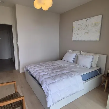 Uitzicht Luxe Met Ruim Terras Zwembad&gym Appartement Oostende
